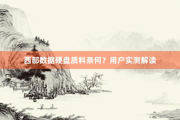 西部数据硬盘质料奈何？用户实测解读